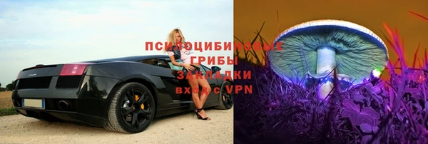 ГАЛЛЮЦИНОГЕННЫЕ ГРИБЫ Баксан