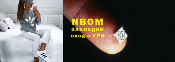 ГАЛЛЮЦИНОГЕННЫЕ ГРИБЫ Баксан