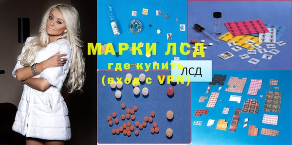 ГАЛЛЮЦИНОГЕННЫЕ ГРИБЫ Баксан