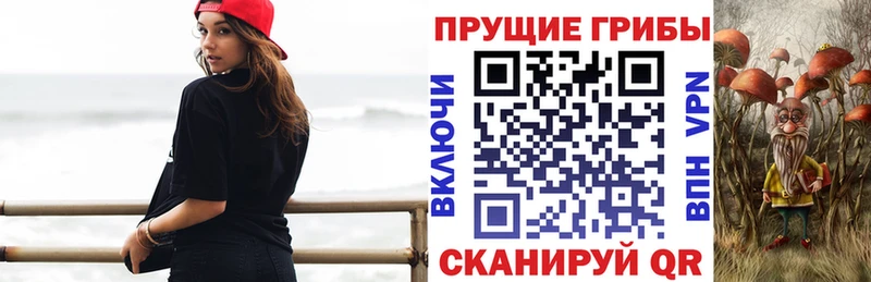 Псилоцибиновые грибы Psilocybine cubensis Кондрово